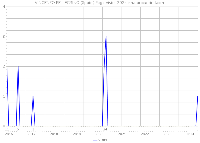 VINCENZO PELLEGRINO (Spain) Page visits 2024 