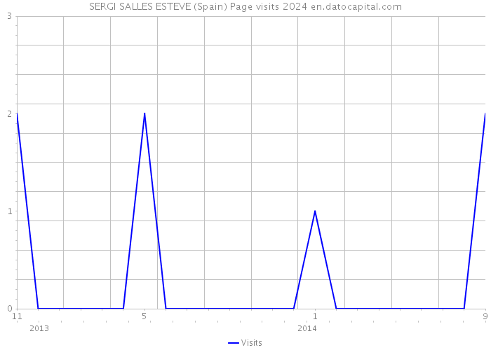 SERGI SALLES ESTEVE (Spain) Page visits 2024 