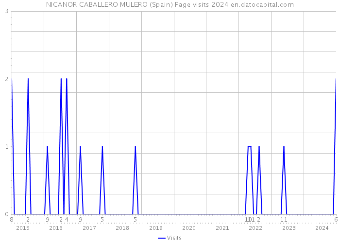 NICANOR CABALLERO MULERO (Spain) Page visits 2024 