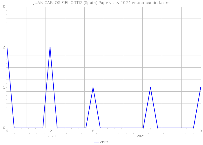 JUAN CARLOS FIEL ORTIZ (Spain) Page visits 2024 