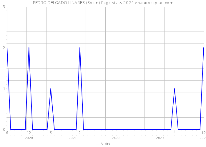 PEDRO DELGADO LINARES (Spain) Page visits 2024 