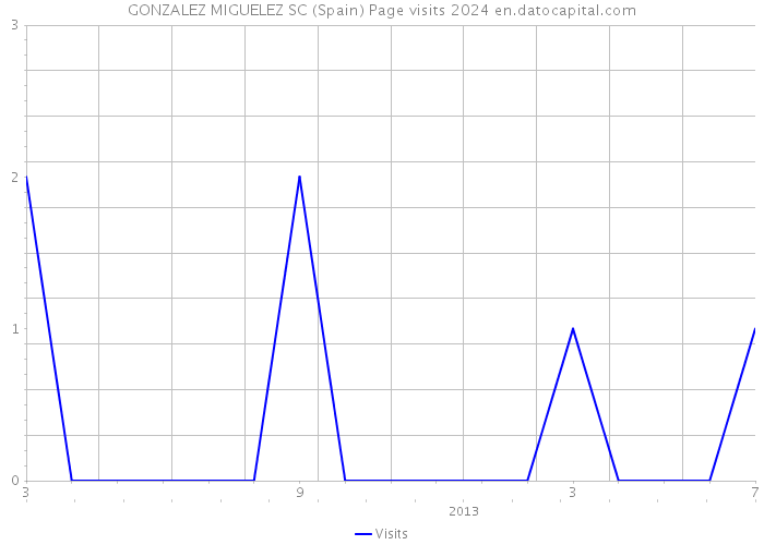 GONZALEZ MIGUELEZ SC (Spain) Page visits 2024 