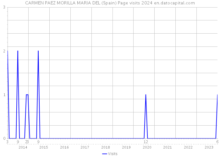 CARMEN PAEZ MORILLA MARIA DEL (Spain) Page visits 2024 