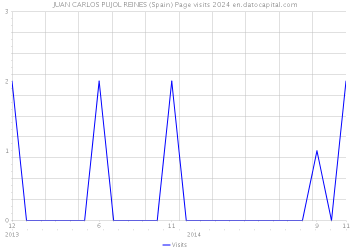 JUAN CARLOS PUJOL REINES (Spain) Page visits 2024 