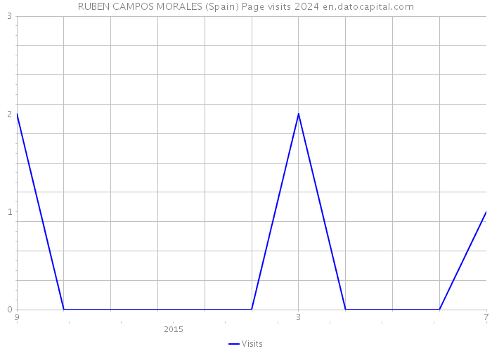 RUBEN CAMPOS MORALES (Spain) Page visits 2024 