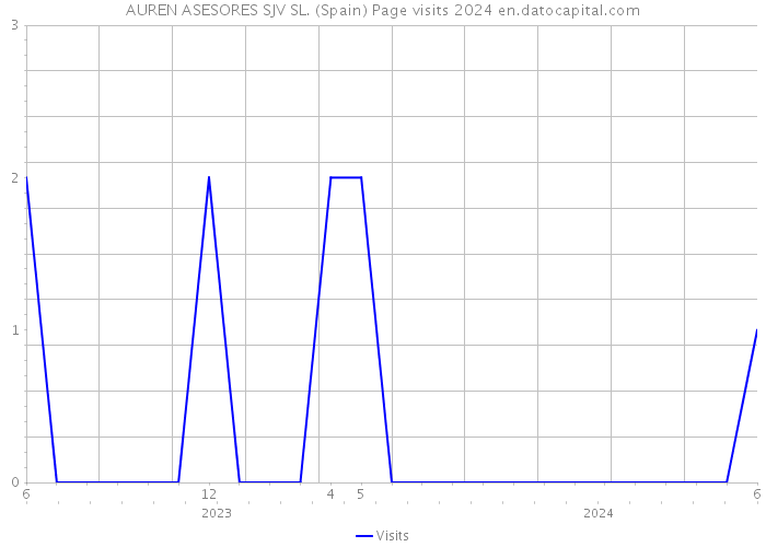 AUREN ASESORES SJV SL. (Spain) Page visits 2024 
