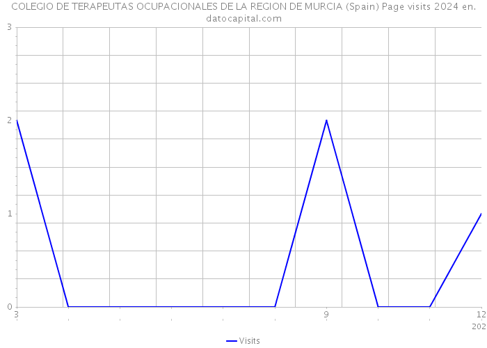 COLEGIO DE TERAPEUTAS OCUPACIONALES DE LA REGION DE MURCIA (Spain) Page visits 2024 