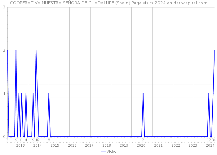 COOPERATIVA NUESTRA SEÑORA DE GUADALUPE (Spain) Page visits 2024 