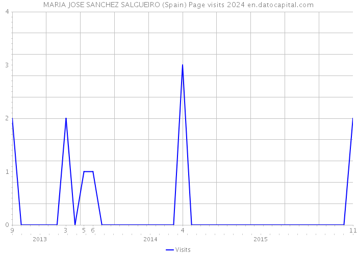 MARIA JOSE SANCHEZ SALGUEIRO (Spain) Page visits 2024 