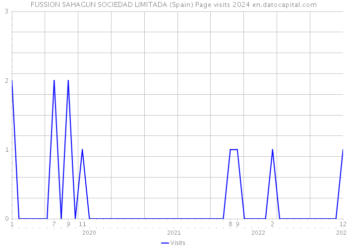 FUSSION SAHAGUN SOCIEDAD LIMITADA (Spain) Page visits 2024 