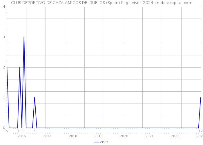 CLUB DEPORTIVO DE CAZA AMIGOS DE IRUELOS (Spain) Page visits 2024 