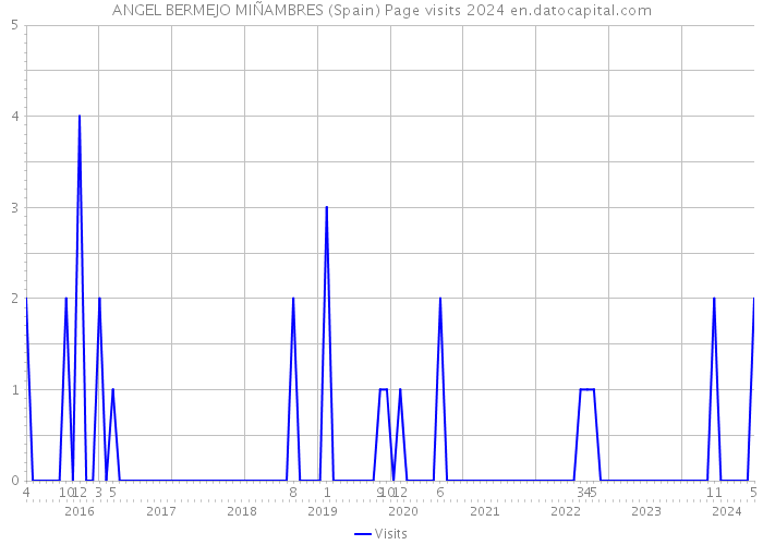 ANGEL BERMEJO MIÑAMBRES (Spain) Page visits 2024 