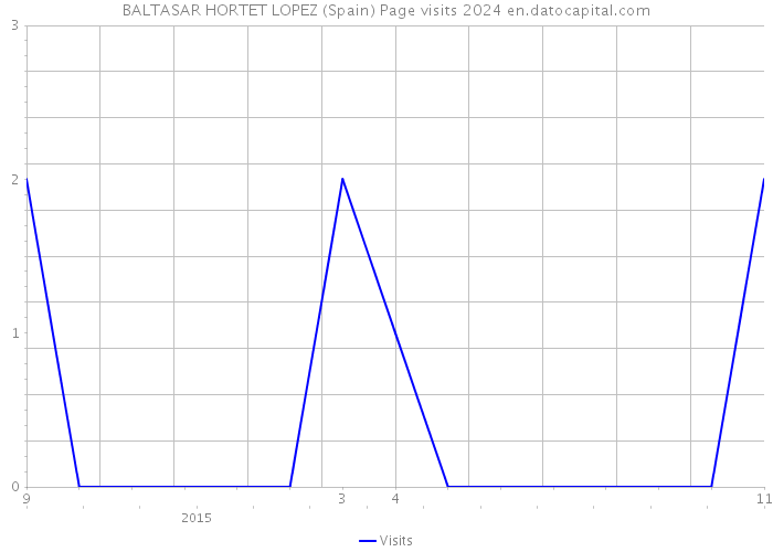 BALTASAR HORTET LOPEZ (Spain) Page visits 2024 