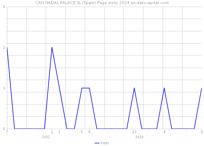 CAN NADAL PALACE SL (Spain) Page visits 2024 