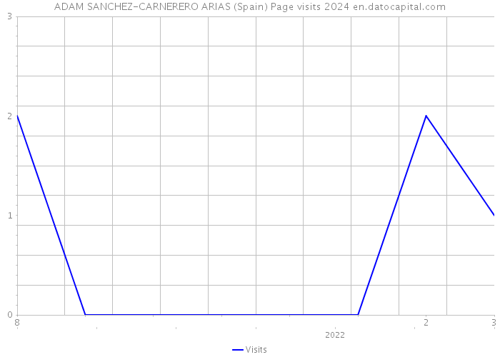 ADAM SANCHEZ-CARNERERO ARIAS (Spain) Page visits 2024 