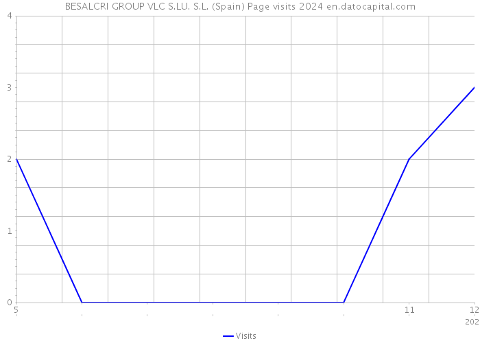 BESALCRI GROUP VLC S.LU. S.L. (Spain) Page visits 2024 