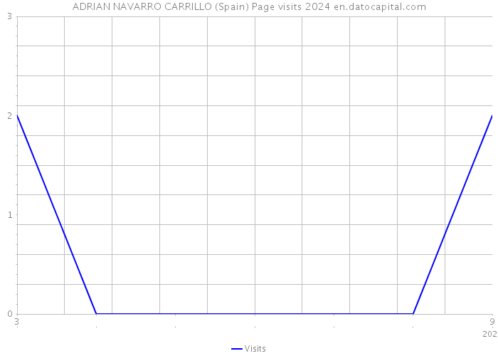 ADRIAN NAVARRO CARRILLO (Spain) Page visits 2024 