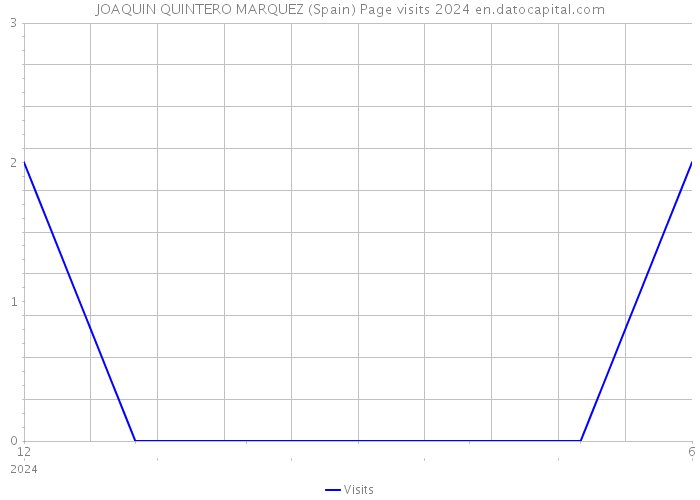 JOAQUIN QUINTERO MARQUEZ (Spain) Page visits 2024 