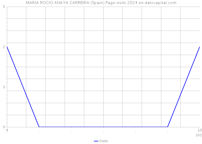MARIA ROCIO ANAYA CARREIRA (Spain) Page visits 2024 