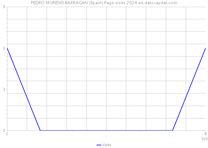 PEDRO MORENO BARRAGAN (Spain) Page visits 2024 