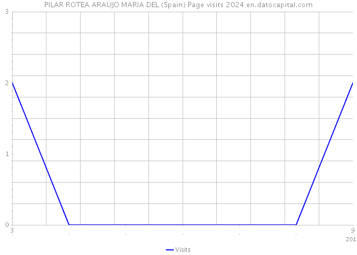PILAR ROTEA ARAUJO MARIA DEL (Spain) Page visits 2024 