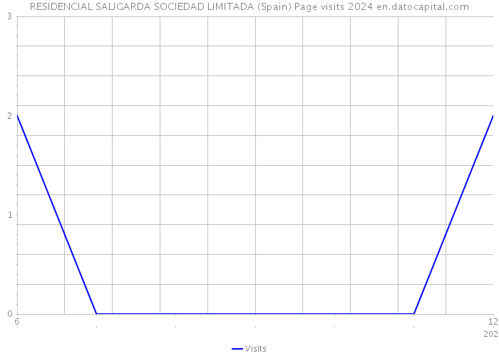 RESIDENCIAL SALIGARDA SOCIEDAD LIMITADA (Spain) Page visits 2024 