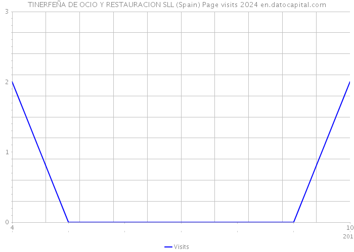 TINERFEÑA DE OCIO Y RESTAURACION SLL (Spain) Page visits 2024 