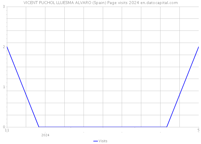 VICENT PUCHOL LLUESMA ALVARO (Spain) Page visits 2024 