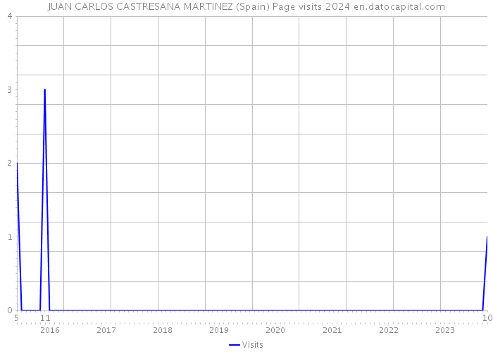 JUAN CARLOS CASTRESANA MARTINEZ (Spain) Page visits 2024 