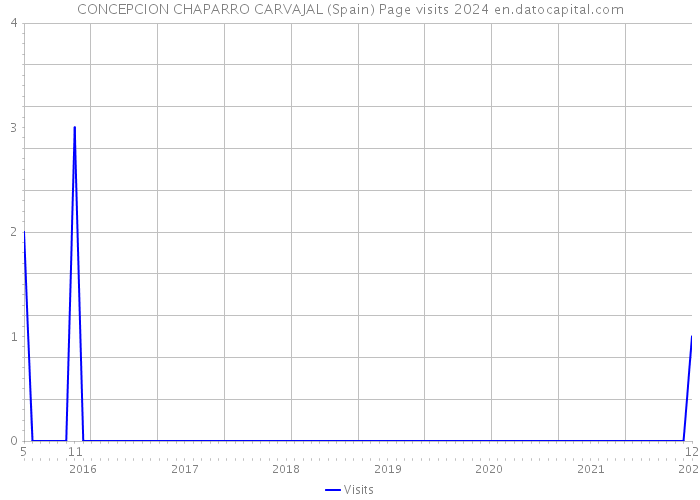 CONCEPCION CHAPARRO CARVAJAL (Spain) Page visits 2024 
