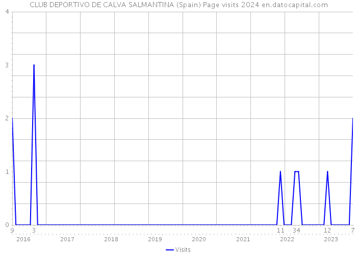 CLUB DEPORTIVO DE CALVA SALMANTINA (Spain) Page visits 2024 