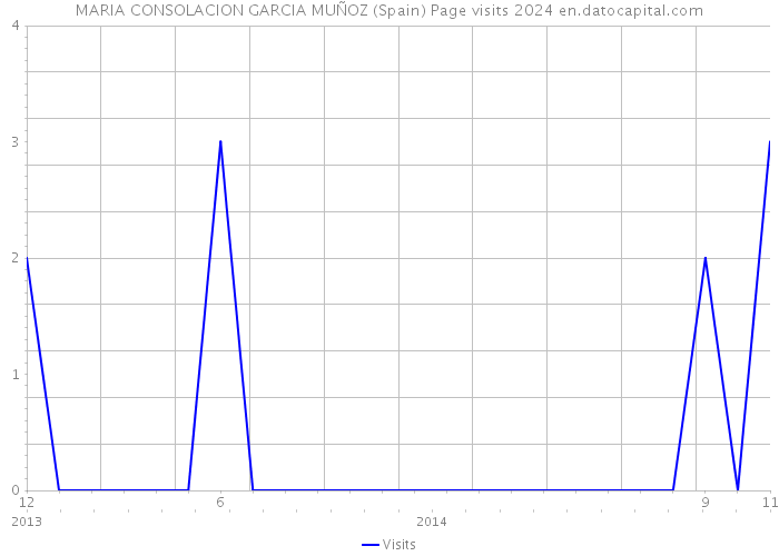 MARIA CONSOLACION GARCIA MUÑOZ (Spain) Page visits 2024 