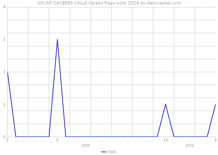 OSCAR CACERES CALLE (Spain) Page visits 2024 