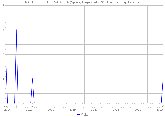 RAUL RODRIGUEZ SALCEDA (Spain) Page visits 2024 