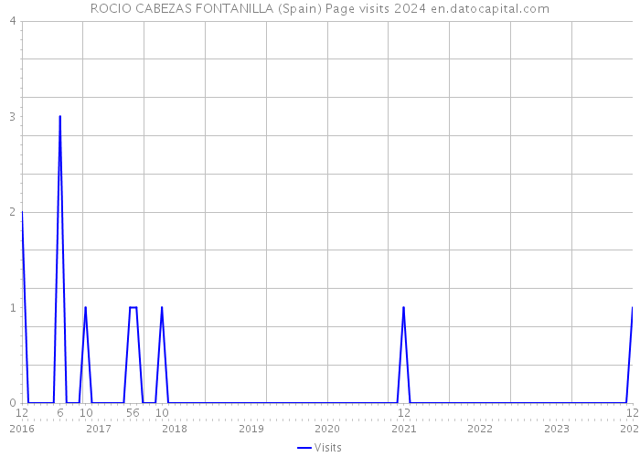 ROCIO CABEZAS FONTANILLA (Spain) Page visits 2024 