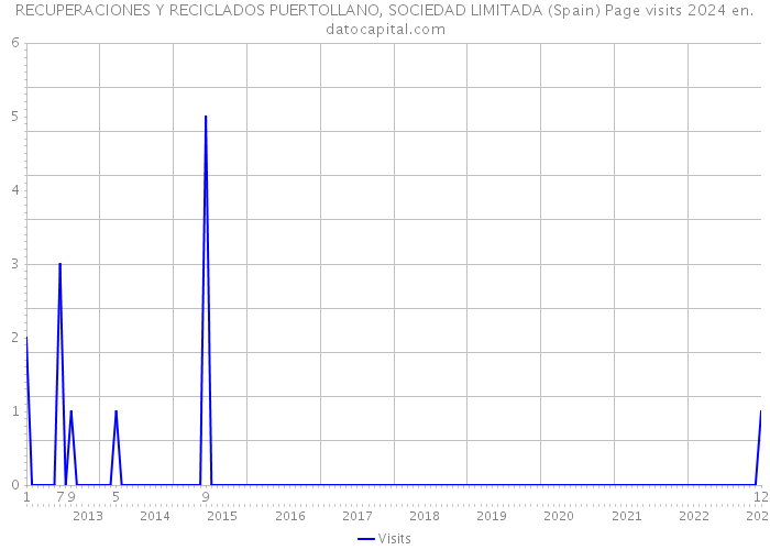 RECUPERACIONES Y RECICLADOS PUERTOLLANO, SOCIEDAD LIMITADA (Spain) Page visits 2024 