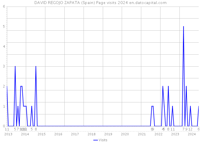 DAVID REGOJO ZAPATA (Spain) Page visits 2024 