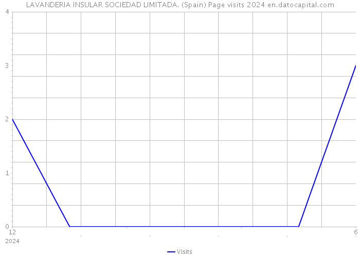 LAVANDERIA INSULAR SOCIEDAD LIMITADA. (Spain) Page visits 2024 