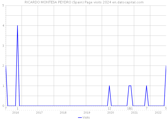 RICARDO MONTESA PEYDRO (Spain) Page visits 2024 