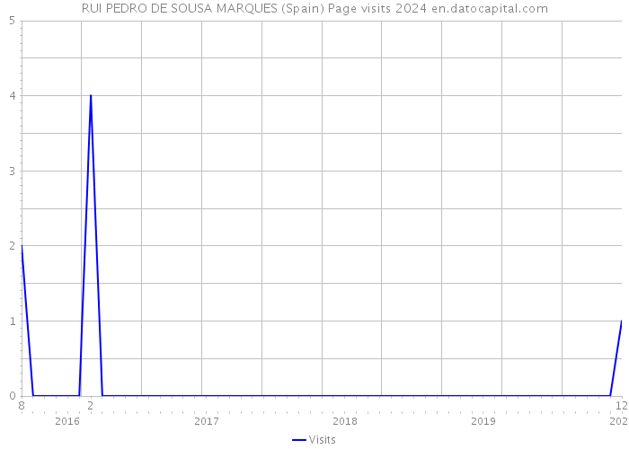 RUI PEDRO DE SOUSA MARQUES (Spain) Page visits 2024 