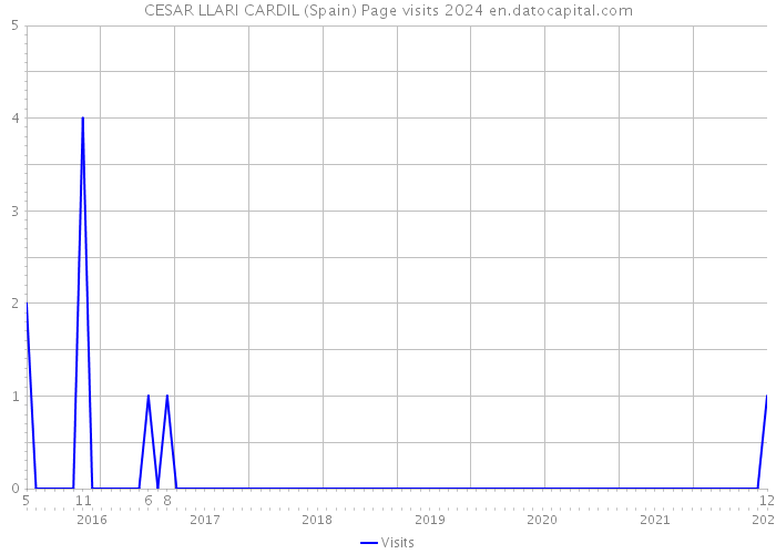 CESAR LLARI CARDIL (Spain) Page visits 2024 