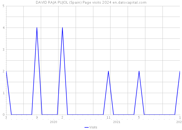 DAVID RAJA PUJOL (Spain) Page visits 2024 