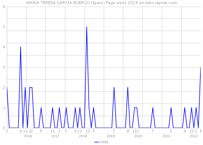 MARIA TERESA GARCIA BUERGO (Spain) Page visits 2024 