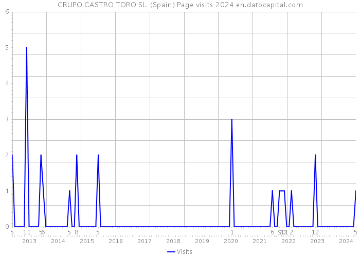 GRUPO CASTRO TORO SL. (Spain) Page visits 2024 