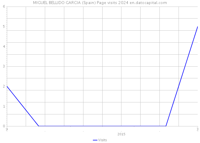 MIGUEL BELLIDO GARCIA (Spain) Page visits 2024 