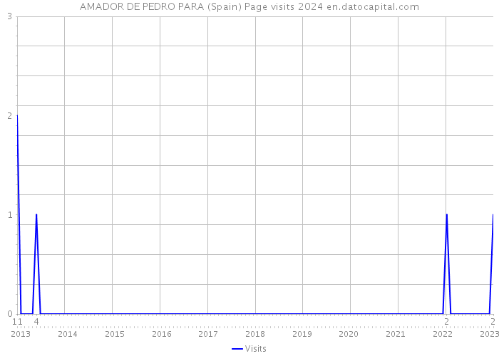 AMADOR DE PEDRO PARA (Spain) Page visits 2024 