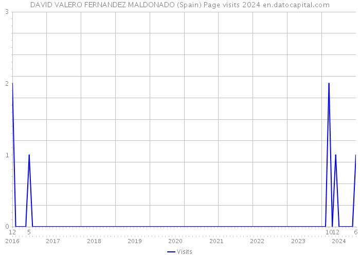 DAVID VALERO FERNANDEZ MALDONADO (Spain) Page visits 2024 