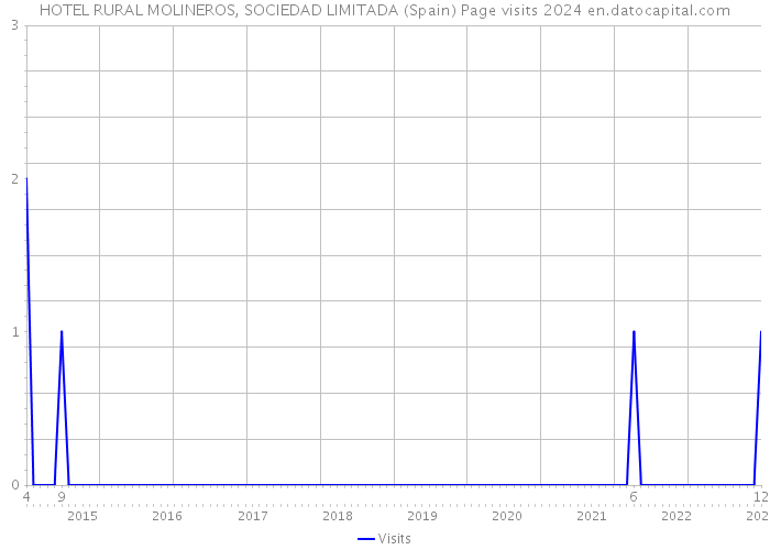 HOTEL RURAL MOLINEROS, SOCIEDAD LIMITADA (Spain) Page visits 2024 