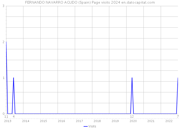 FERNANDO NAVARRO AGUDO (Spain) Page visits 2024 