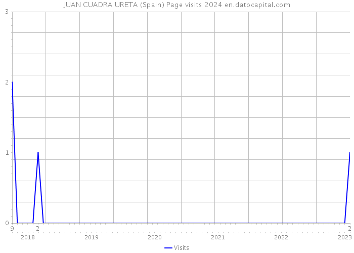 JUAN CUADRA URETA (Spain) Page visits 2024 
